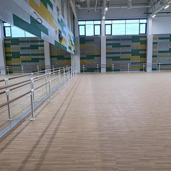 Специализированный учебно-научный центр УрФУ (зал хореографии)